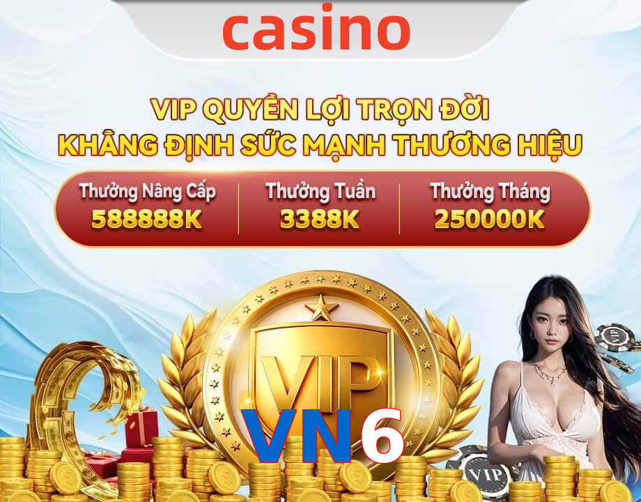 VN6
