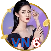 VN6