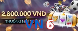 VN6