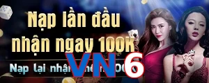 VN6