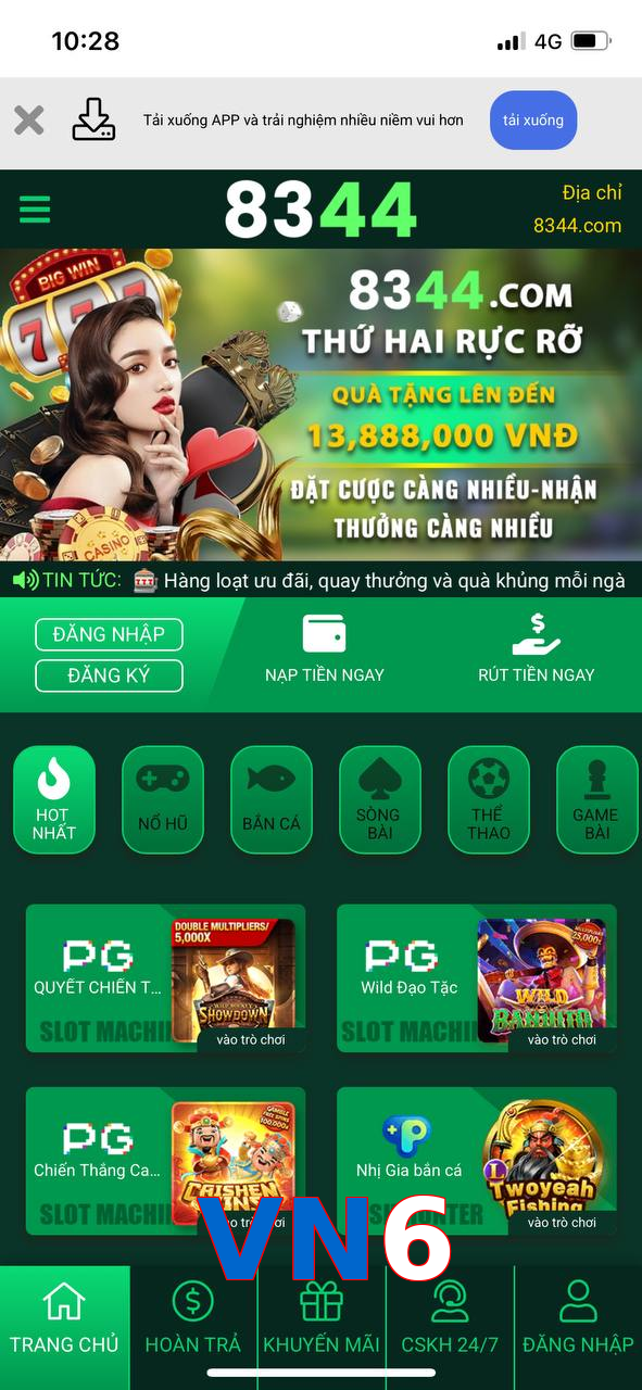 VN6