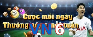 VN6