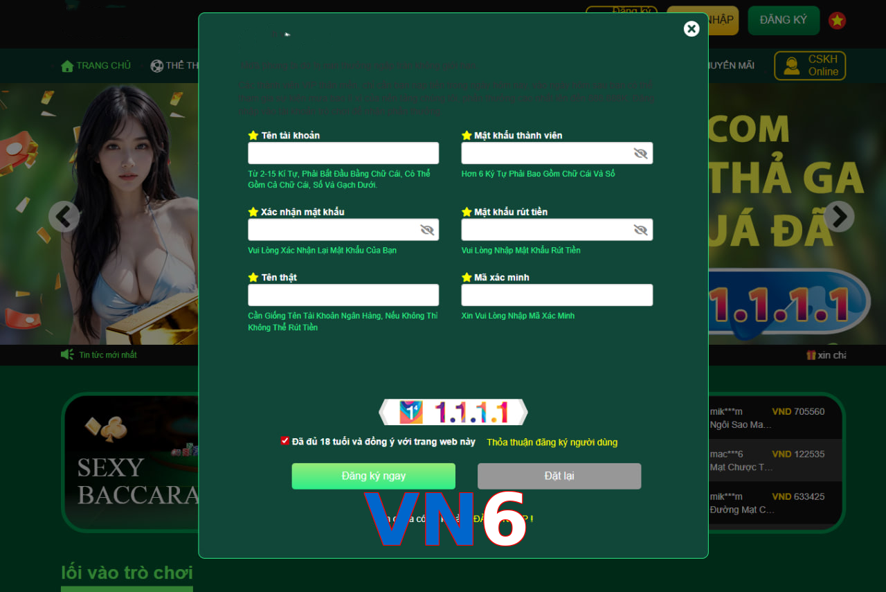 VN6